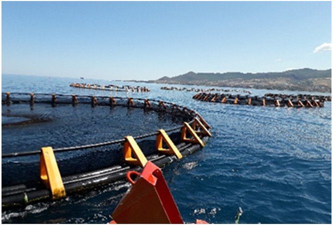 Pisciculture
